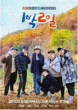 歪歪的漫画书条目收录趋势配图